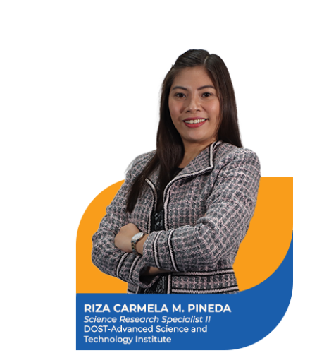 PINEDA